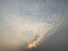 -光明小镇欢乐田园