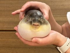 -永安鱼庄·镇江菜(三店纬五路店)