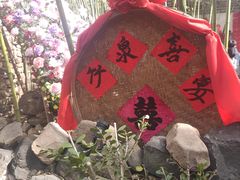 -竹泉村旅游度假区