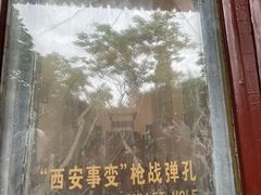 -华清宫景区