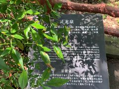 -宁波市保国寺古建筑博物馆