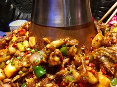 -沪小二炭火蛙锅(淮海中路美食不夜城店)