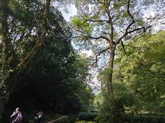 -绍兴古城
