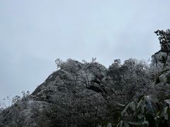 -金子山原生态旅游风景区