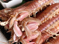 -渔娘渔家丹东海鲜(东直门店)