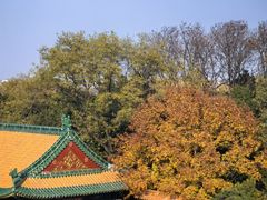 -好利来(宣武门店)