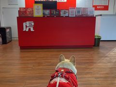 -途虎养车工场店(工人体育馆店)