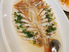 -骏莱海鲜鱼港(五角场店)
