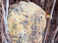 -荔枝公园-小平画像广场