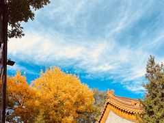 -黄瓦增福财神庙