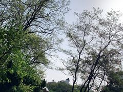 -棒棰岛宾馆景区
