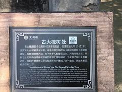 -大槐树寻根祭祖园