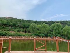 -五龙城郊森林公园
