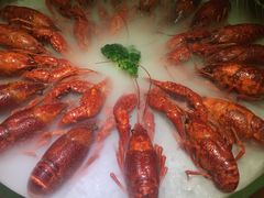 -红盔甲·小龙虾(天钥桥店)