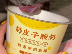 -紫光园清真北京小吃(广渠门内店)