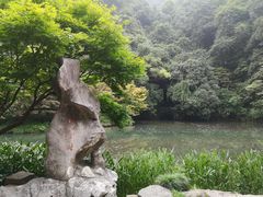 -龙井村
