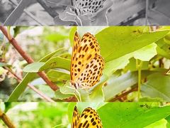 -南京金牛湖风景区