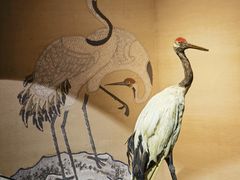 -福建博物院