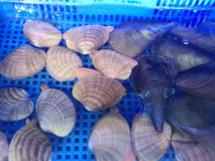 -劲烧-烧烤工坊(保利水城店)