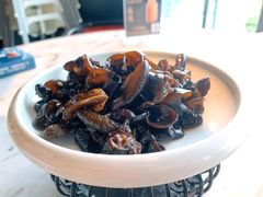生态小木耳-泓历皇朝酒店(东亭店)