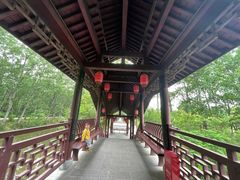 -合肥滨湖国家森林公园