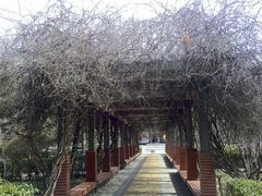 -山东大学(千佛山校区)