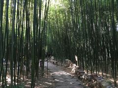 -竹泉村旅游度假区