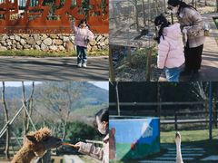 -天目湖涵田半山温泉水乐园