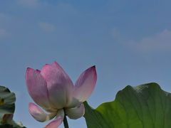 -梁鸿国家湿地公园