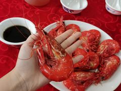 -大湾区中央湿地公园-十九涌