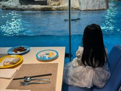 -帝企鹅自助餐厅•儿童岛•真企鹅(长隆企鹅酒店)