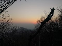 -紫金山山顶公园