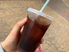 -罗汉果龙眼冰糖燉冬瓜