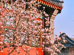 -北京颐和宾馆