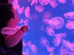 -多彩贵州城极地海洋世界