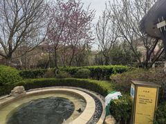 -大连金石滩绿发温泉假日酒店