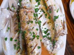 激浪鱼-呼吸森林·生态农庄农家乐私房菜