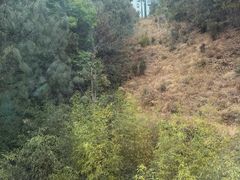-苍山感通索道