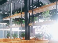 -桃源村铁锅炖鱼(体育馆道店)