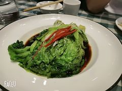 罗马生菜-紫光园·烤鸭(吕家营店)
