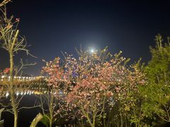 -酤居湖景音乐餐吧(安宁店)