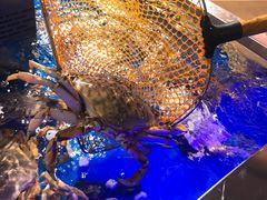 -盒马鲜生(莱蒙都会店)