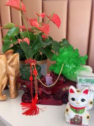 点击看大图 -佛山艺美医疗美容·整形·美肤·塑形