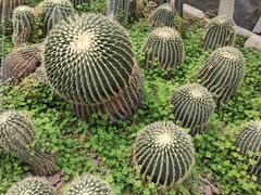 -郑州植物园