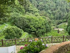 -鼓岭旅游度假区