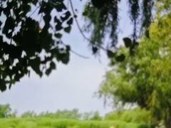 -绿堤公园