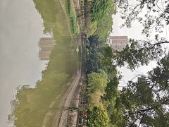 -晓港公园