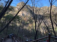 -大岭沟猕猴桃谷风景区