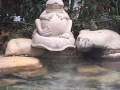 -天目湖涵田半山温泉