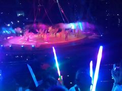 -灵玲国际马戏城
